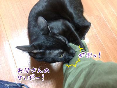 やつあたり