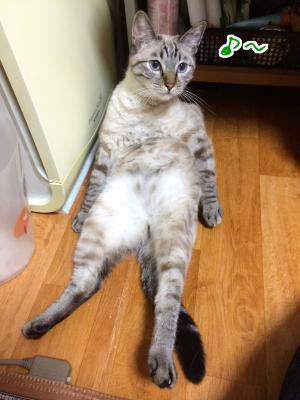 すだち