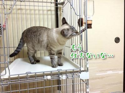 美味しい水