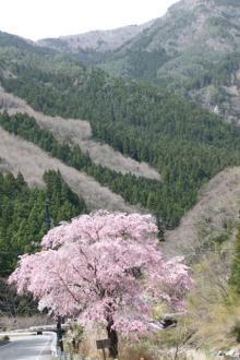 IMG_4530.jpg