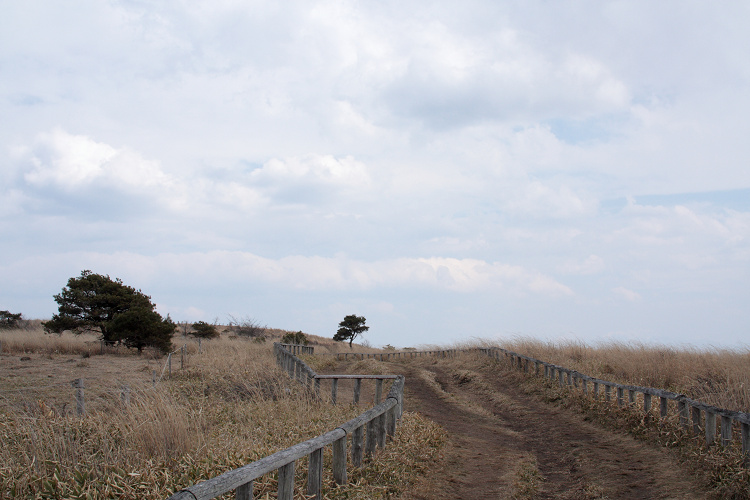 20110789.jpg