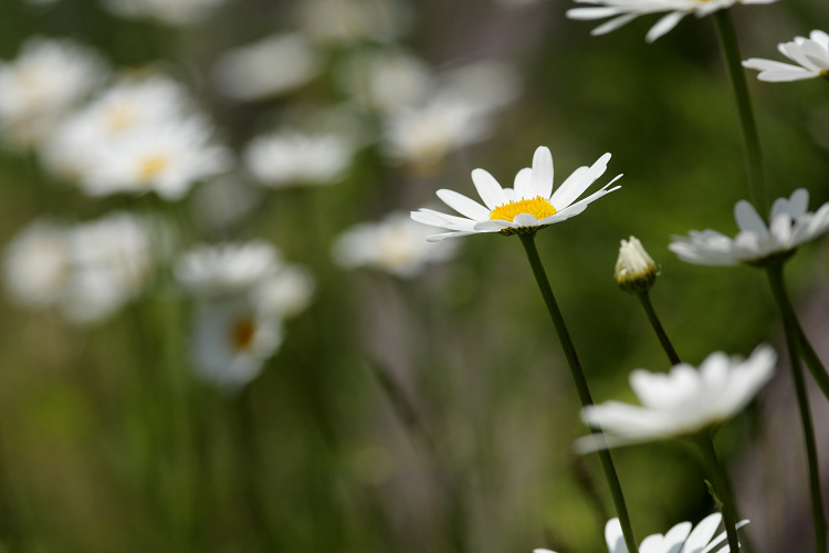 20110842.jpg
