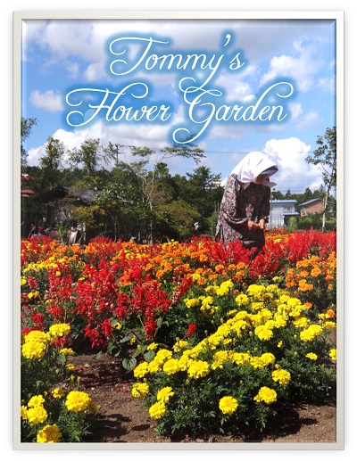 Tommys Flower Garden