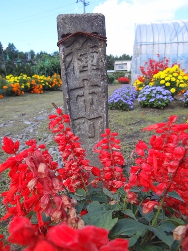 bDSC03731.jpg