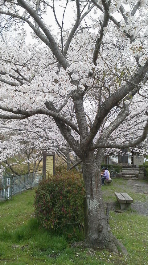 2012041511540000.jpg