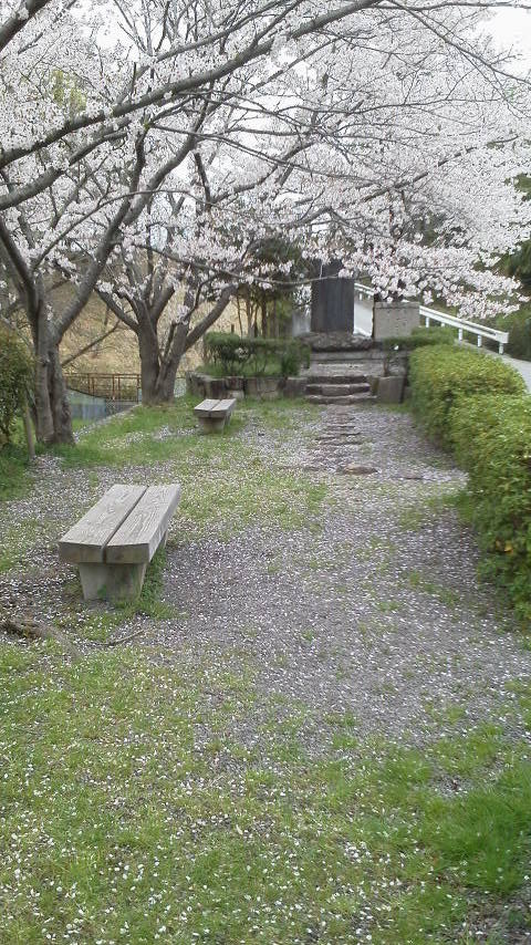 2012041611340000.jpg
