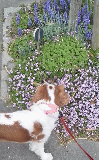 2012050116380000.jpg