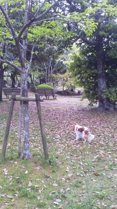 2012050116430000.jpg
