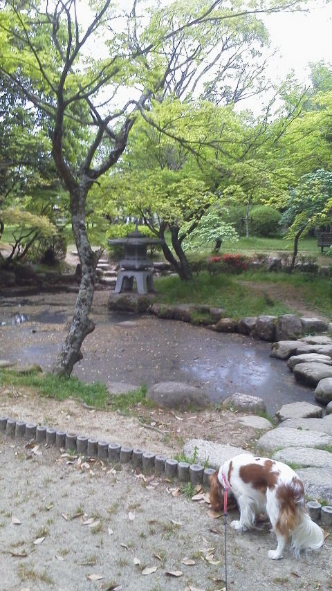 2012050116450000.jpg