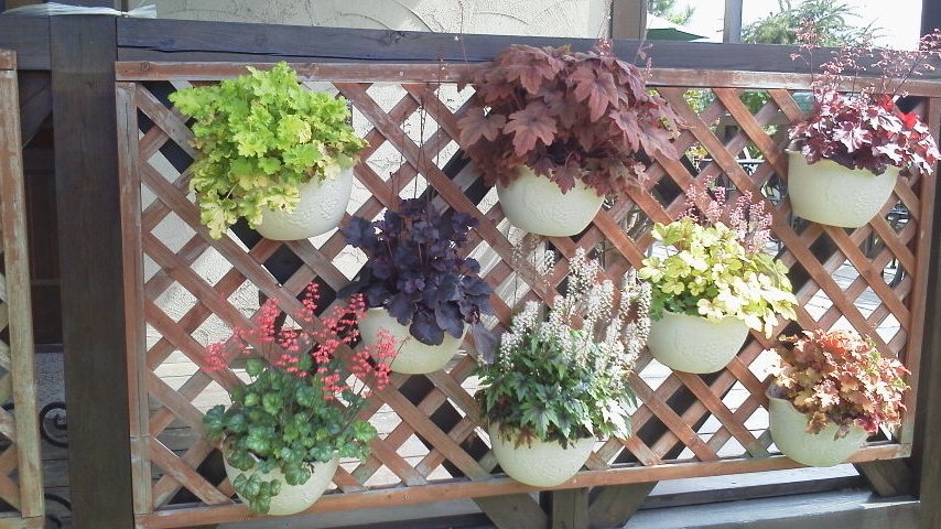 2012050409180000.jpg