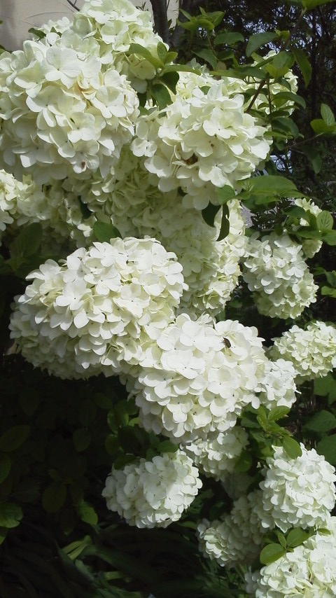 2012050409330000.jpg