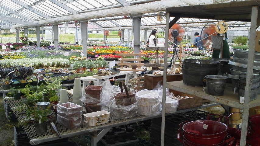 2012050409430000.jpg