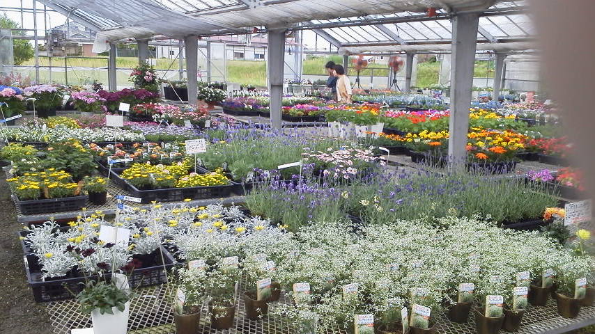 2012050409440000.jpg