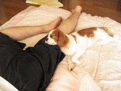 DSC08197.jpg