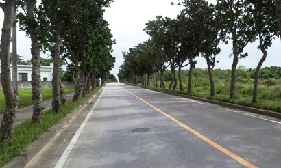 20120227_114817.jpg