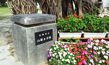 20120227_115148.jpg