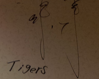 signe3.jpg