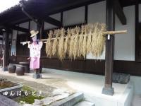 稲が