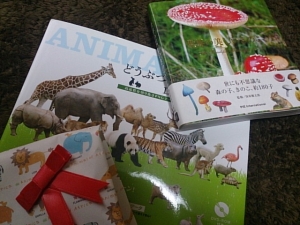 20140207092818ad6.jpg