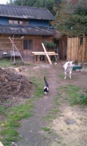 IMAG0116.jpg