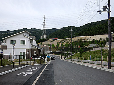 1972_13.jpg