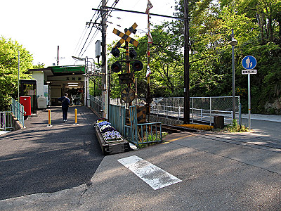 4605_01.jpg