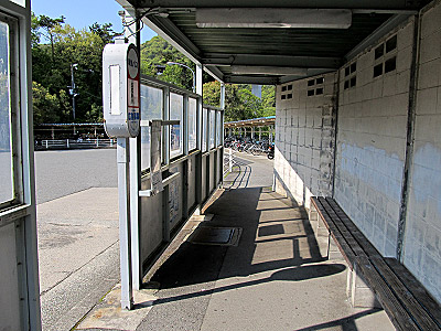 4605_12.jpg