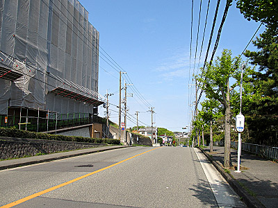 4606_07.jpg