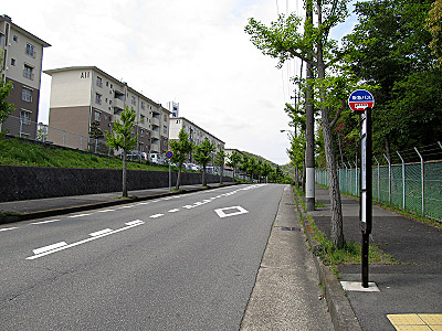 4619_01.jpg