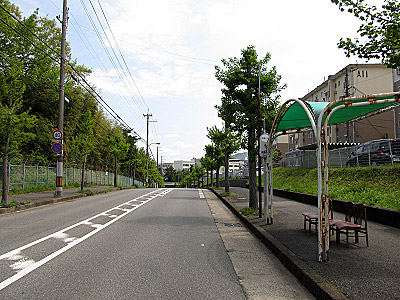 4619_05.jpg