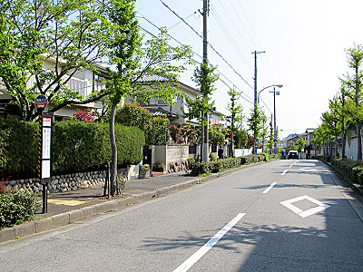 4621_01.jpg