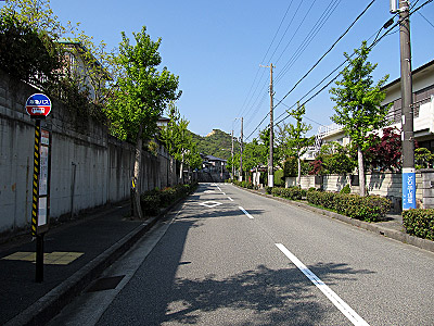 4621_05.jpg