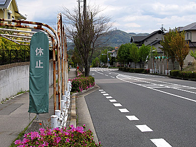 4629_01.jpg