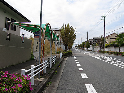 4629_04.jpg