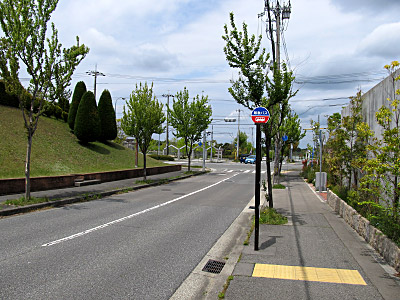 4631_01.jpg