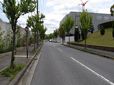 4631_03.jpg