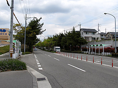 4631_04.jpg