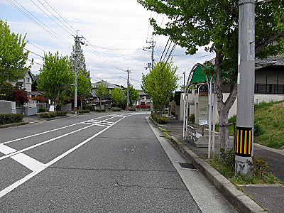 4632_01.jpg