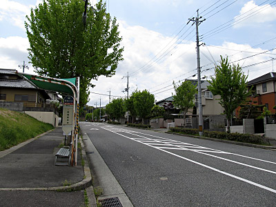 4632_03.jpg