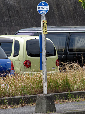 4633_04.jpg