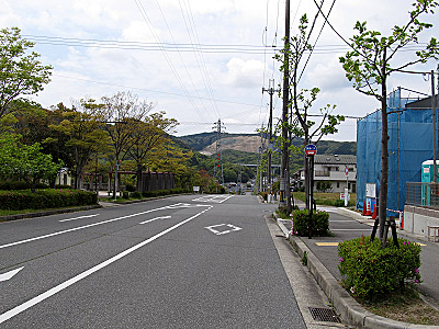 4635_02.jpg