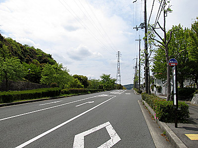 4636_01.jpg