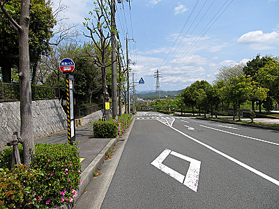 4636_03.jpg