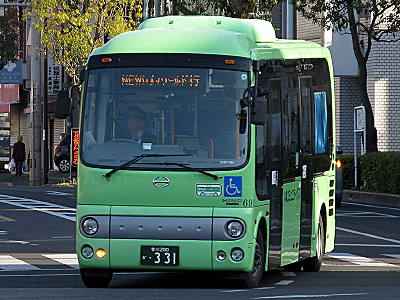 IMG_20130401_075.jpg