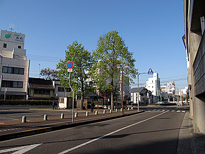 hw_marugameeki_01.jpg