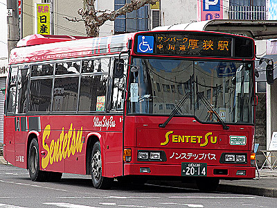 img_20130210_151.jpg