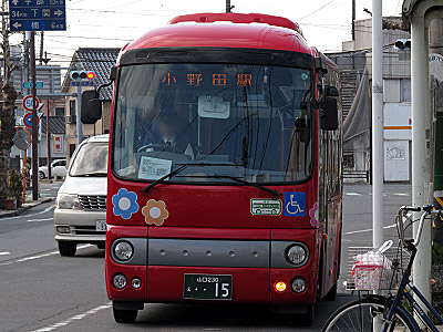 img_20130210_155.jpg