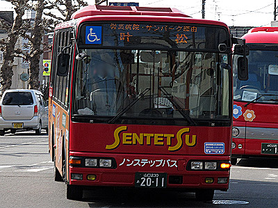 img_20130210_156.jpg