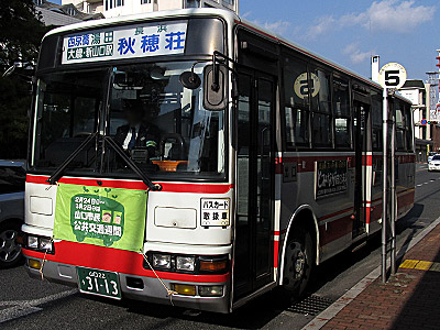 img_20130210_331.jpg