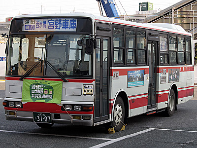 img_20130210_384.jpg